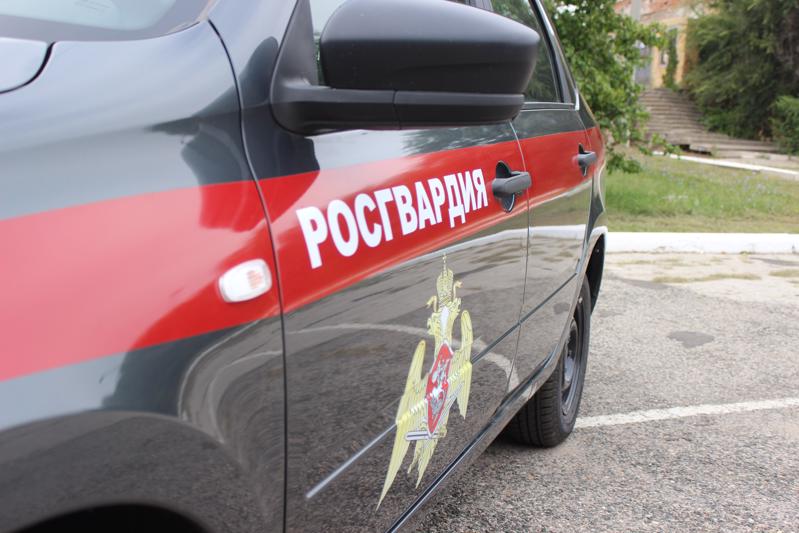 В Самарской области росгвардейцы задержали подозреваемого в краже из иномарки