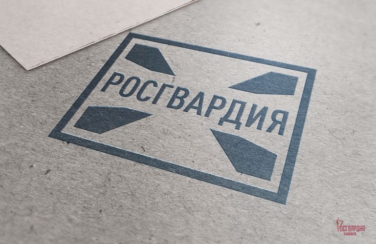 В Тольятти сотрудники Росгвардии обеспечили безопасность матча КХЛ