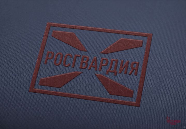 В Тольятти росгвардейцы обеспечили безопасность хоккейного матча