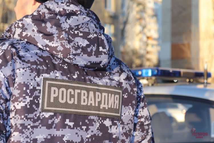 Сотрудники Росгвардии задержали подозреваемого в краже дорогого смартфона из ломбарда 