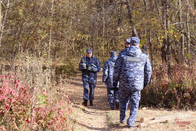 Росгвардейцы из Самары приняли участие во всероссийской акции «Лес Победы» (видео)