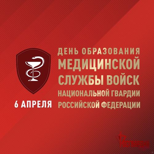 Генерал армии Виктор Золотов поздравил медицинский персонал войск национальной гвардии с Днем медицинской службы ведомства