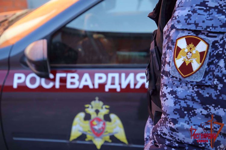 Самарские росгвардейцы задержали уличного дебошира