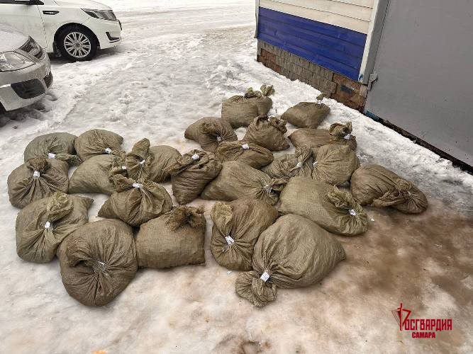 В Самарской области при содействии ОМОН Росгвардии изъята почти тонна раков