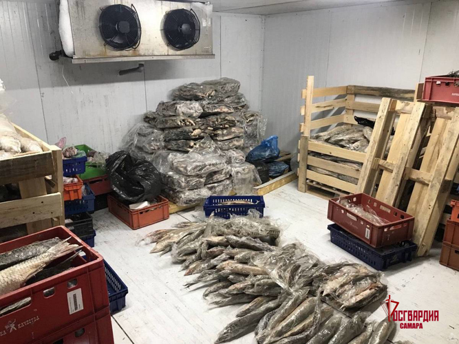 Покровительствовавший браконьерам сотрудник Росрыболовства задержан при содействии ОМОН в Самарской области 