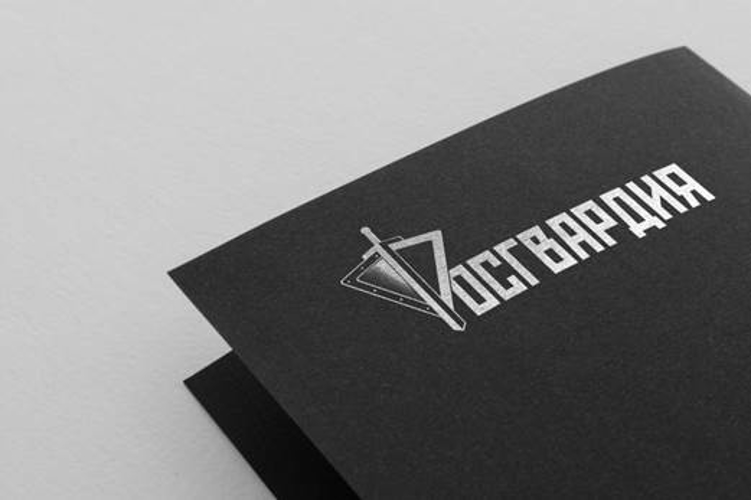 В Самаре подразделения ЛРР регионального управления Росгвардии подвели итоги деятельности за 9 месяцев