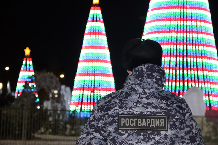 Росгвардейцы приняли участие в обеспечении безопасности в новогоднюю ночь в Самарской области