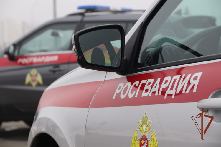 В Самарской области сотрудники Росгвардии задержали девушек, подозреваемых в распространении наркотиков через тайники