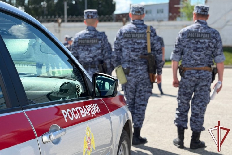 Лучшую группу задержания вневедомственной охраны Росгвардии определили в Самарской области