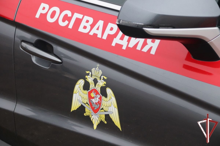 Сотрудники Росгвардии оказали содействие экстренным службам на месте крупного пожара в Самаре