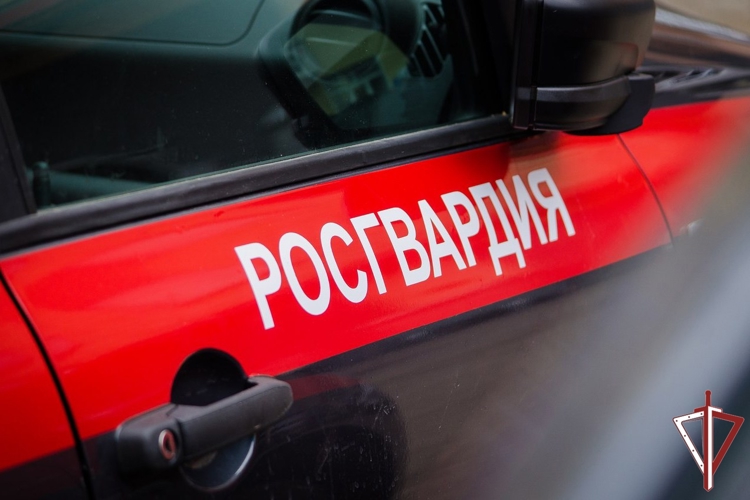 В Тольятти сотрудниками вневедомственной охраны Росгвардии задержан подозреваемый в убийстве