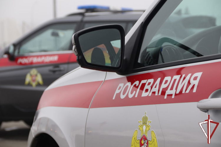 В Самарской области росгвардейцы обезвредили мужчину,  подозреваемого в тяжком преступлении