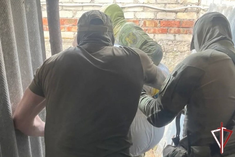 При силовой поддержке спецназа Росгвардии ликвидирована крупная лаборатория по производству наркотиков в Самарской области (видео)