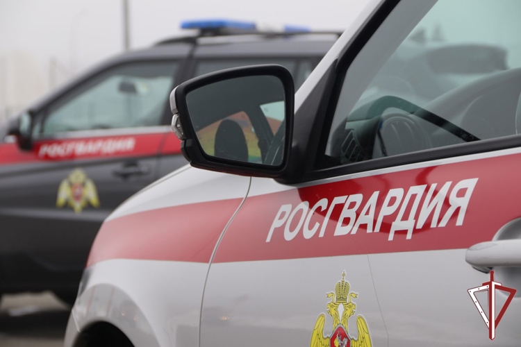 В Тольятти сотрудники Росгвардии обеспечили безопасность проведения матча КХЛ